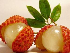 吃荔枝上火怎么辦?怎樣吃荔枝不上火?荔枝的功效與作用