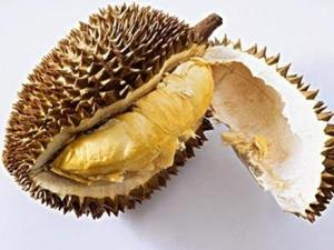 吃榴蓮有什么好處?榴蓮的功效與作用