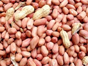 吃花生米有什么好處?花生米的營養價值