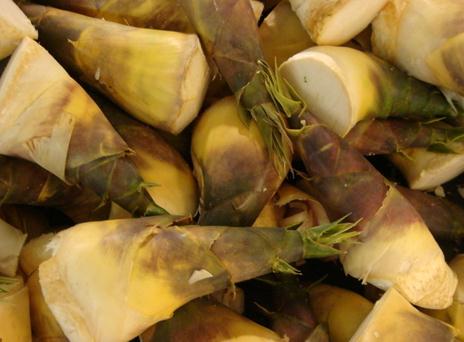 ���S�ĠI�B(y��ng)�r(ji��)ֵ-�Դ��S�ĺ�̎