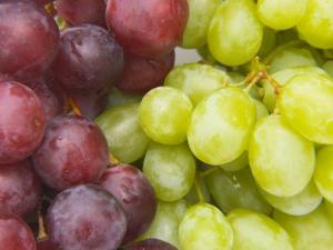 提子的營養價值-提子的功效與作用