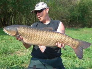 草魚的營養價值-哪些人最適合吃草魚