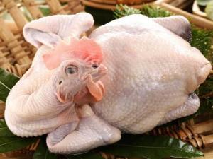 吃雞肉的好處-雞肉的營養價值