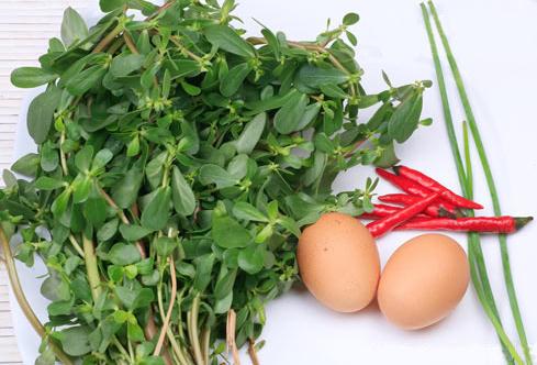 �R�X�{�Ĺ�Ч�c����-�R�X�{��ˎ�Ãrֵ