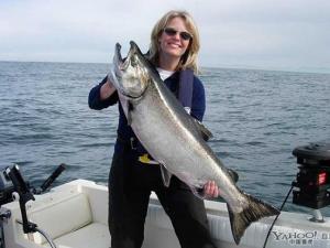 大麻哈魚的營養價值-大麻哈魚的食療功效