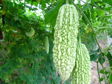 ��ϵĹ�Ч�c����-��ϵĠI�B�rֵ