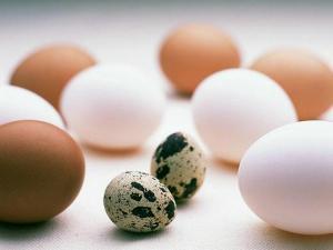 鵪鶉蛋的營養(yǎng)價值比雞蛋高嗎?鵪鶉蛋與雞蛋營養(yǎng)價值