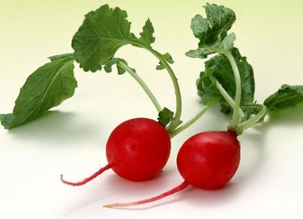 �}���t�ĠI�B(y��ng)�rֵ-�}���t�Ĺ�Ч�c����