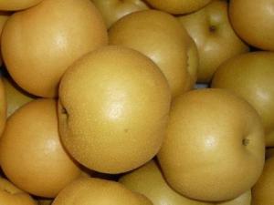 吃梨有什么好處?梨的功效與作用和營(yíng)養(yǎng)價(jià)值