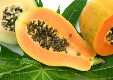 ��ľ����ʲô��̎��ľ����ô����ľ�ϵĹ�Ч�c����