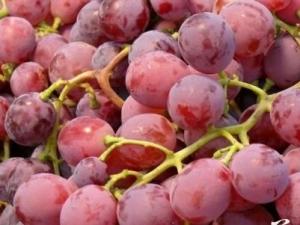 吃提子有什么好處?提子的功效與食用作用