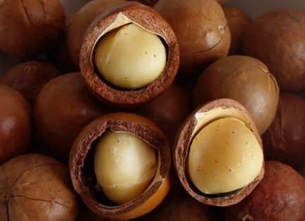 �������Ĺ���ʲô��̎�������Ĺ��Ĺ�Ч�c����