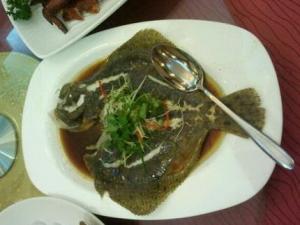 蒲魚的功效與作用，蒲魚的營養價值分析