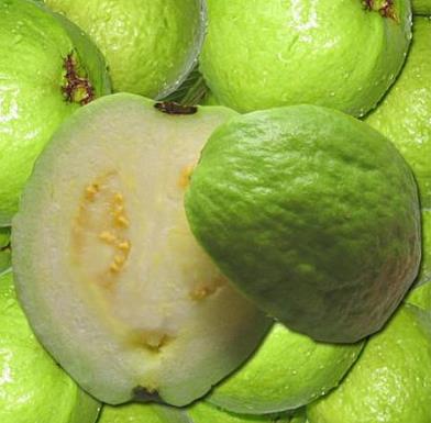 番石榴怎么吃?番石榴的吃法