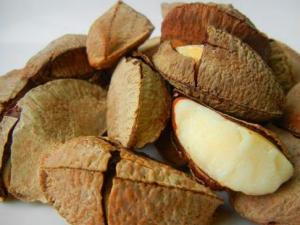 鮑魚果的營養價值-鮑魚果的功效與作用