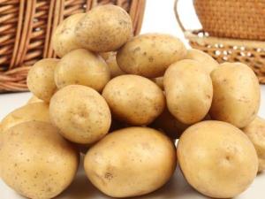 土豆的營(yíng)養(yǎng)價(jià)值-土豆的功效與作用