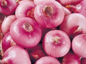 洋蔥的營養價值-洋蔥的功效與作用