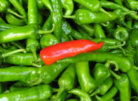 尖椒怎么做好吃?尖椒的營養(yǎng)價(jià)值、功效與作用