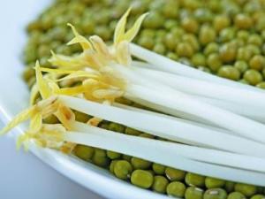 綠豆芽怎么做好吃?綠豆芽的營養價值、功效與作用