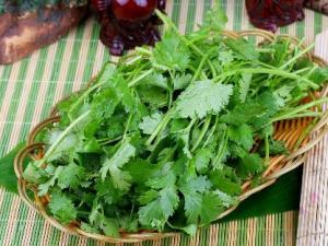 香菜怎么吃?香菜的營養價值、功效與作用