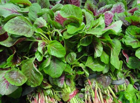 ���{�˺Æ᣿�{�˵ĠI�B�rֵ����Ч�c����