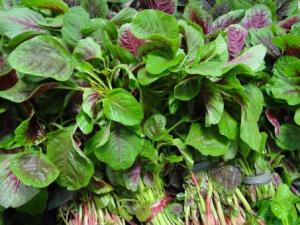 吃莧菜好嗎?莧菜的營養價值、功效與作用