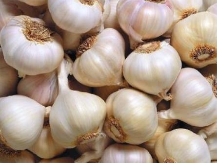 ����ĠI(y��ng)�B(y��ng)�r(ji��)ֵ-����Ĺ�Ч�c����