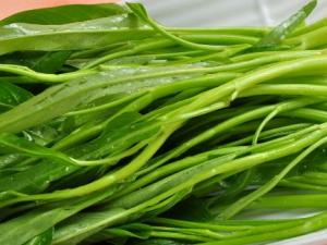 空心菜的營養價值-空心菜的功效與作用