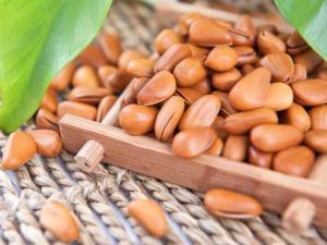 吃松子有什么好處?松子的營養價值、功效與作用