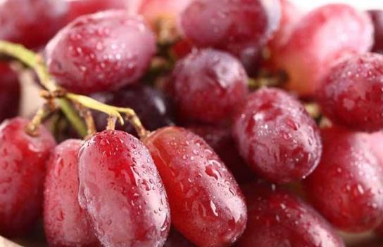 提子的營養價值 提子的功效與作用 提子皮的功效與作用