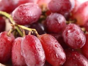 ӵĠIBrֵ ӵĹЧc ƤĹЧc