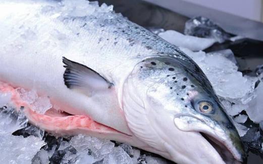 三文魚的營養價值 三文魚怎么吃 三文魚的功效與作用 孕婦能吃嗎