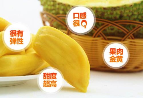 菠蘿蜜的營養價值 菠蘿蜜圖片 菠蘿蜜的核怎么吃