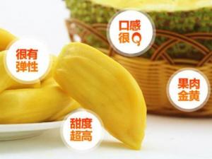 }۵ĠIBrֵ }ۈDƬ }۵ĺô