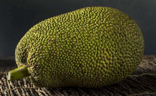 菠蘿蜜的營養價值 菠蘿蜜圖片 菠蘿蜜的核怎么吃