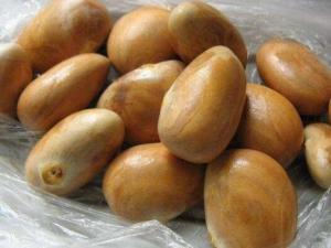 }۵ĺܳԆ}۵ĺôԣԲ}ۺ˵ע