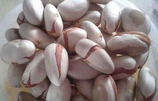 菠蘿蜜的營養價值 菠蘿蜜圖片 菠蘿蜜的核怎么吃