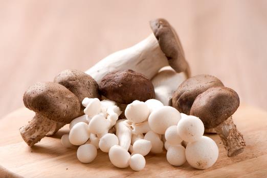 吃蘑菇上火嗎?蘑菇的營養價值 蘑菇的功效與作用