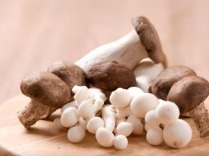 Ģϻ᣿ĢĠIBrֵ ĢĹЧc