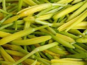 rSж᣿SôԺ S˵ĠIBrֵ