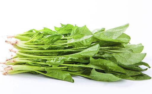 沒想到這7中蔬菜竟然有毒 家常菜這樣搭配也有毒