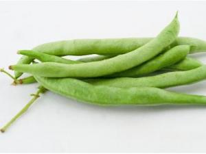 ļж᣿ôԸȫļĠIBrֵ