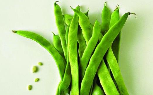四季豆有毒嗎?怎么吃更安全?四季豆的營養(yǎng)價(jià)值