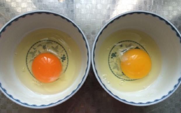 土雞蛋與普通雞蛋有什么區別 土雞蛋與普通雞蛋營養價值對比分析