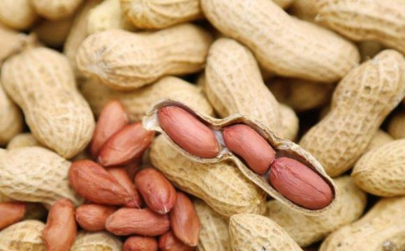 花生皮能吃嗎?關(guān)于吃花生米要不要帶皮吃