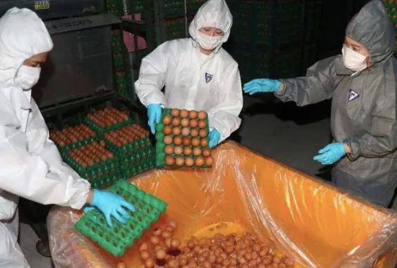 雞蛋煮太熟營養會損失掉?溏心蛋和全熟雞蛋哪種營養更好?