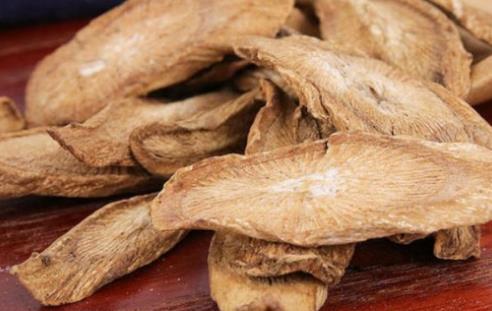 牛蒡根是什么?牛蒡根的功效是什么