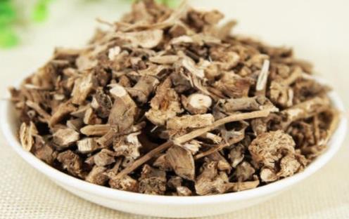 土牛膝是什么?土牛膝有什么作用