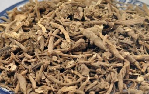 土牛膝是什么?土牛膝有什么作用