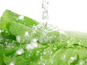 蔬菜農藥殘留怎么辦?洗菜的小訣竅